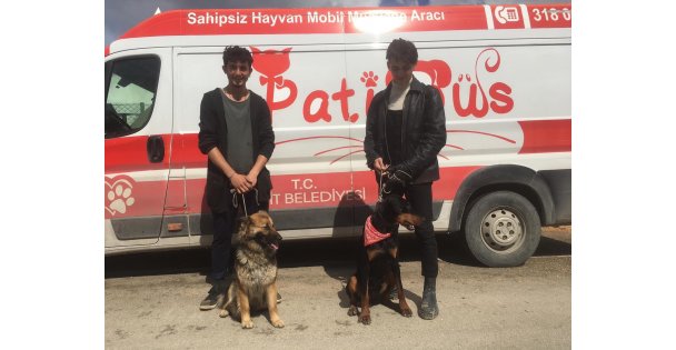 Patibüs Ekibi Hatay'da Hayvanların Tedavi ve Bakımlarını Yapıyor