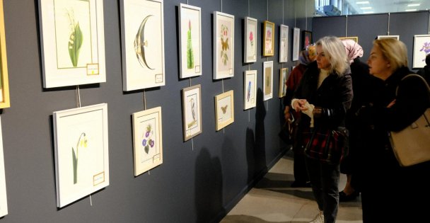 Renklerin ahenkle dans ettiği sergi