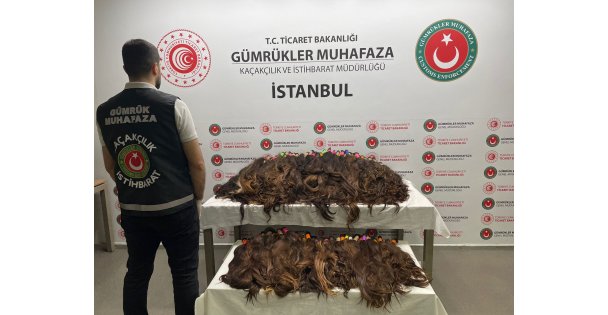 Sabiha Gökçen Havalimanı'nda 68 Kilo İnsan Saçı Ele Geçirildi