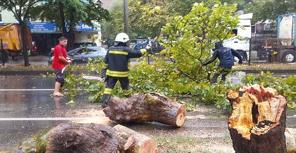 Sağanak Yağış Kocaeli'yi Vurdu