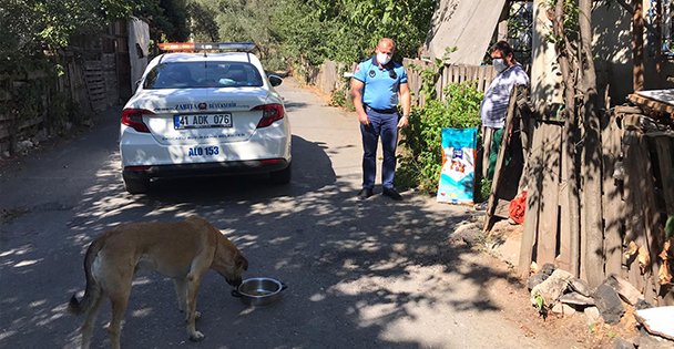 Sahiplendiği köpek için Büyükşehir'den mama istedi