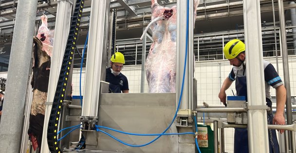 Sakatatları açık halde çöpe atmayın