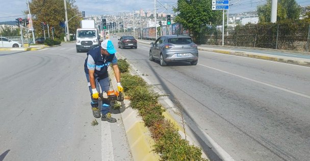 Salim Dervişoğlu Caddesi'nde sonbahar budaması