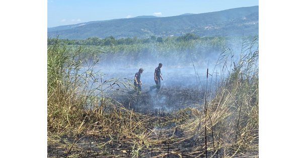 Sapanca Gölü'ndeki sazlık alanda yangın çıktı