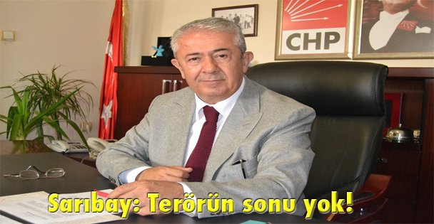 Sarıbay: Terörün sonu yok!