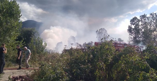 Sazlık alanda korkutan yangın