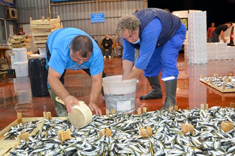 Sezon 30 ton balık satışıyla başladı