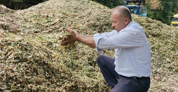 Silajda yüzde 30'luk verim kaybı sıfırlandı