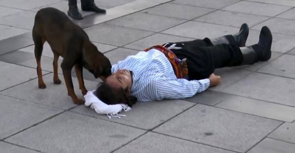 Sokak köpeği, yardım etmeye çalıştı