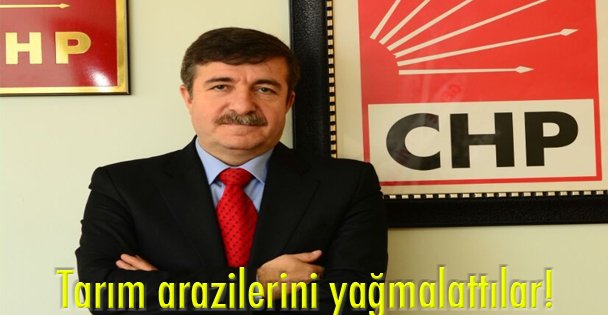 Tarım arazilerini yağmalattılar!