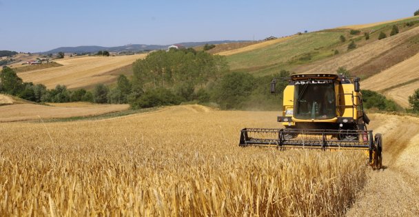 Tarımda verimlilik Büyükşehir'le artıyor