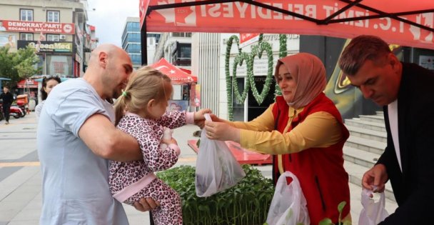 Tarımsal kalkınmaya fide desteği