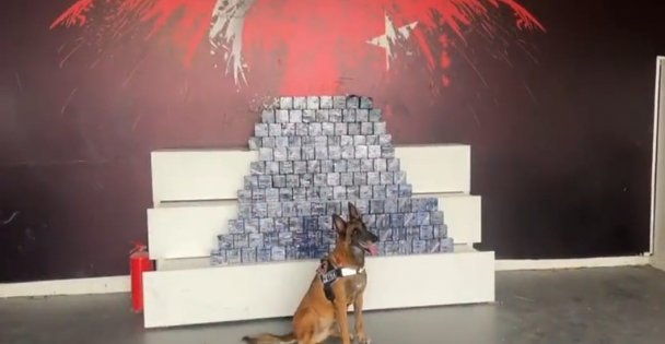 TEM'de durdurulan yolcu otobüsünden 76 kilo eroin çıktı