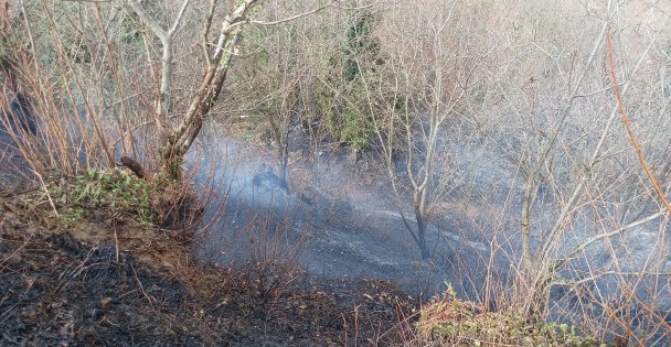 Temizlik amacıyla yakılan ateş ormanı küle çevirdi