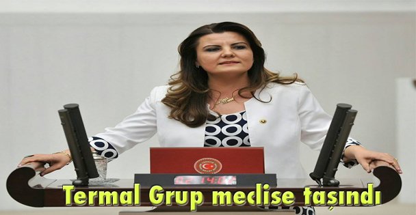 Termal Grup meclise taşındı