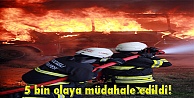 5 bin olaya müdahale edildi!