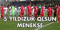 5 yıldızlık olsun Menekşe