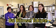 Bal Bilimsel Takipte
