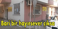 Bari bir hayırsever çıksa