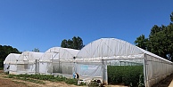 Çiftçilere Yüzde 50 Hibeli Modern Sera Desteği