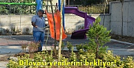 Dilovası yenilerini bekliyor!