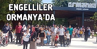 Engelliler Ormanya'da