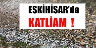 ESKİHİSAR'da KATLİAM !