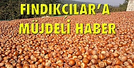 Fındıkçılara müjdeli haber!