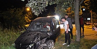 Kontrolden Çıkan Otomobil Ağaca Çarparak Durabildi