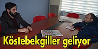 Köstebekgiller geliyor