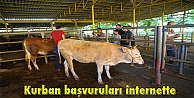 Kurban başvuruları internette