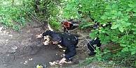 Mesire alanında kaybolan gençleri AFAD buldu