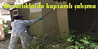 Mezarlıklarda kapsamlı çalışma