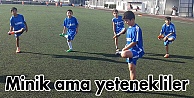 Minik ama yetenekliler