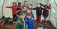 Miniklerin bitki yetiştirme heyecanı