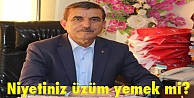 Niyetiniz üzüm yemek mi?