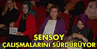 Şensoy çalışmalarını sürdürüyor