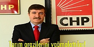 Tarım arazilerini yağmalattılar!