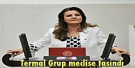 Termal Grup meclise taşındı
