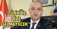 Türkiye dize gelmeyecek!