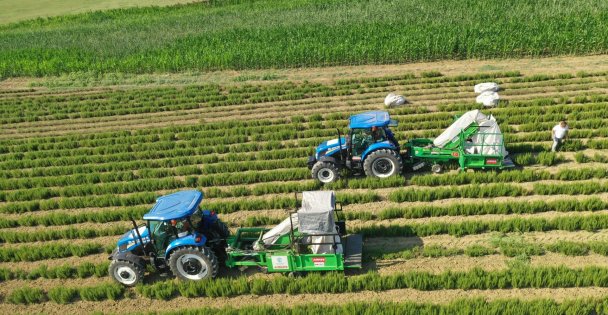 'Topraktan kopmayın”