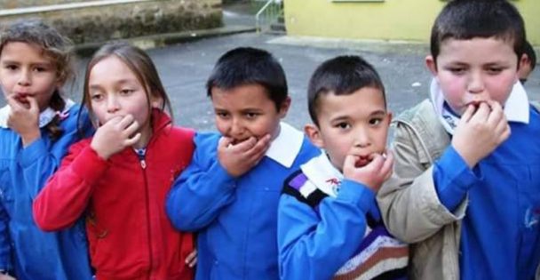 Türk Dil Yılı ve Kuşdili Belgeseli