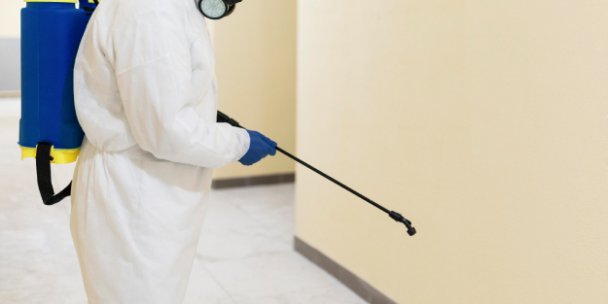 Uzman Kadro ile Etkili Böcek İlaçlama Çözümleri