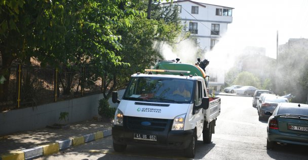 Vektörle mücadele aralıksız devam ediyor