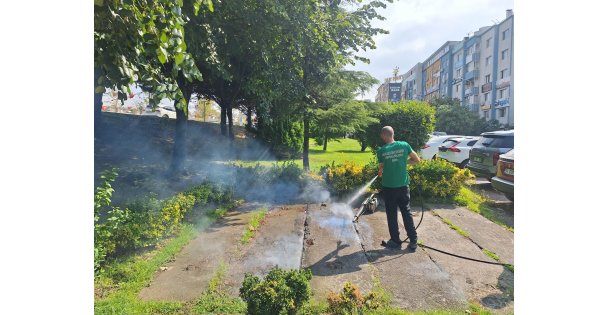 Vektörle mücadeleye güçlü destek