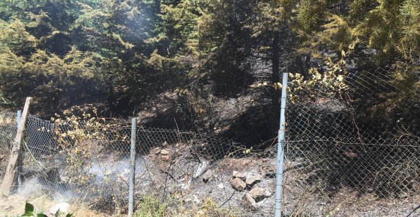 Yangın Vatandaşları Sokağa Döktü