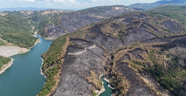Yaşanan yangın sonrası yürek burkan manzara